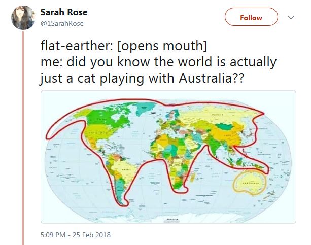 Tweet mit Weltkarte und Katze
